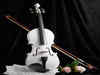 The Best Violins Under 20,000 for Professionals: Quality and Affordability