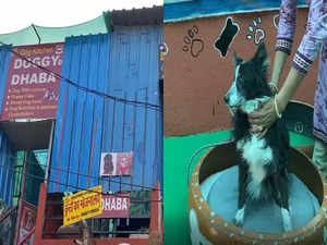 Indore couple trending for opening a unique 'Doggy Dhaba' that offers food for dogs