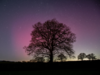Miracle! Northern lights paint UK skies pink
