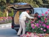 Two luxury car owners caught red-handed stealing flowerpots in Gurugram set up for G20 meet