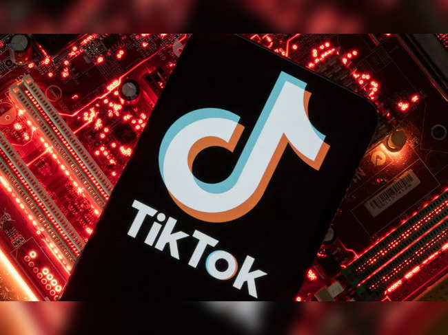 TikTok European parliament ban