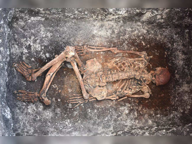 This image released by the University of Helsinki shows details of the horse rider discovered in Malomirovo, Bulgaria. He displays the typical burial custom of the Yamnaya. The radiocarbon date puts him into the 30th century BC. Who were the first people to ride horses? Researchers believe they have found the earliest evidence of horseback riding, by the ancient Yamnaya people in Europe some 5,000 years ago. Their conclusions, based on an analysis of human skeletal remains found in Bulgaria, Hungary and Romania, were published on March 3, 2023, in the journal Science Advances. - RESTRICTED TO EDITORIAL USE -