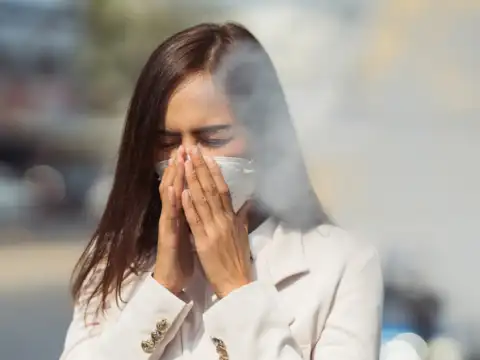 Air pollution is the culprit