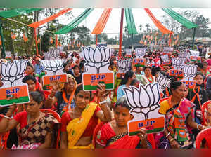 BJP supporters
