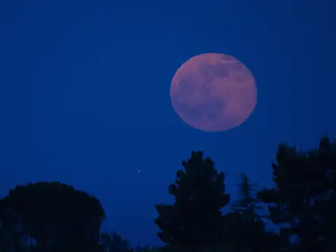 Why 'Worm Moon'?