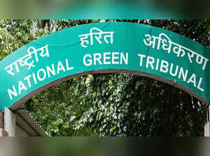 NGT imposes environmental compensation of over Rs 2,000 crore on Punjab