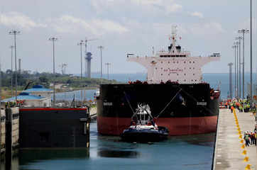 Falling Panama Canal traffic threatens local economy, execs warn