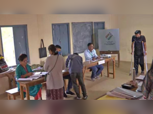 Nagaland elections - ANI photo