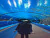 Top 7 Aquariums In The U.S