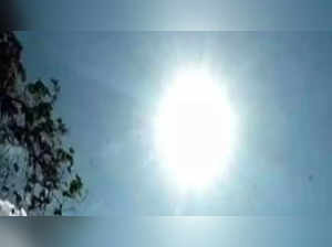 India experienced warmest February this year since 1877: IMD