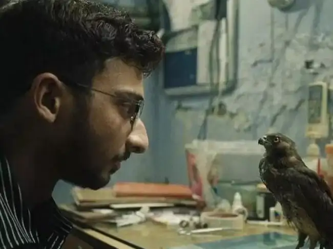 all that breathes: Shaunak Sen's 'All That Breathes' fails to win an Oscar,  loses to Daniel Roher's documentary 'Navalny' - The Economic Times