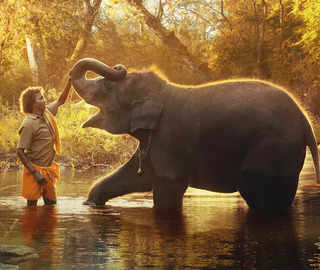 Oscars 2023: 'The Elephant Whisperers' impresses jury, wins Best Documentary Short Film