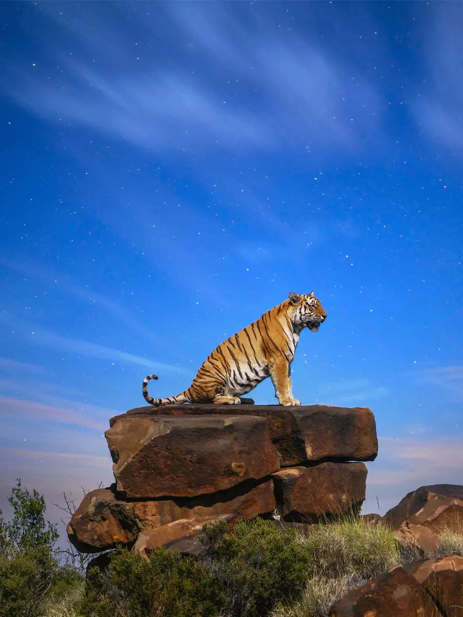 Wildlife Sanctuaries 5 Lesser known Wildlife Sanctuaries To Visit