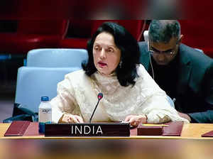 India will do its best to promote South-South cooperation: UN envoy Kamboj
