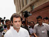 Rahul Gandhi widely viewed as empty suit: US cable
