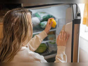 10 Best 5-Star Refrigerators under 20,000