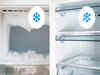 10 Best Frost Free Refrigerators for No Annoying Ice Build-Up (2024)