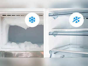 10 Best Frost Free Refrigerators for No Annoying Ice Build-Up
