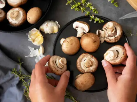 Mushrooms