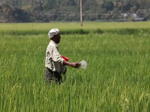 Gujarat State Fertilizers: Buy | CMP: Rs 125 | Target: Rs 135-142 | Stop Loss: Rs 116
