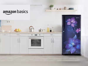 6 Best AmazonBasics Refrigerators in India