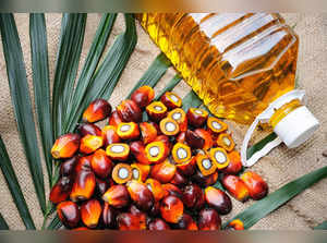 palm oil istock