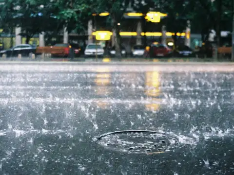 Check the weather forecast