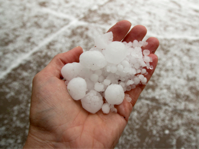 hailstorm: How to protect yourself from a hailstorm - IMD issues warning  for hailstorm and rainfall spell over northwest India | The Economic Times