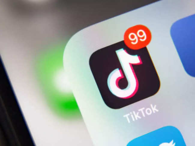 TikTok CEO to the US government: 4 reasons the app should not be banned