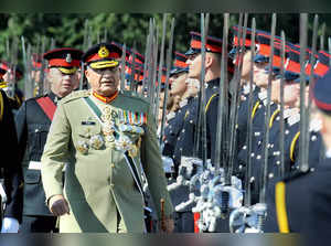 Austerity measures hit Pakistan Day as military parade scaled back