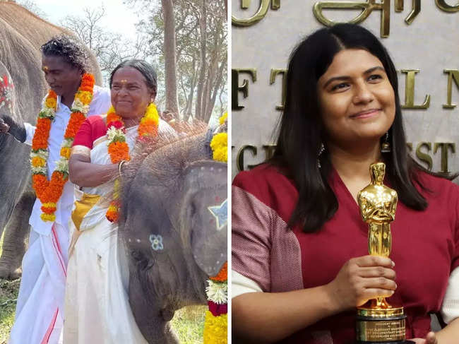 'The Elephant Whisperers', which is set in Tamil Nadu's Mudumulai National Park, explores the relationship between elephants Raghu and Ammu and their tribal caretakers Bomman and Bellie.