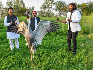 Amethi: Samajwadi Party Chief Akhilesh Yadav with a friendly 'Saras' crane, at A...