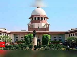 State stand on criminals in polls, Supreme Court tells govt, Election Commission