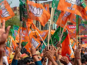 BJP plans layered campaign in runup to Lok Sabha election