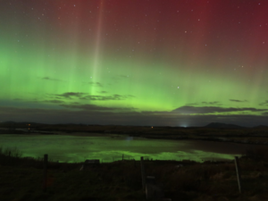 What are auroras?