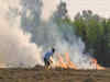 Haryana govt successfully completes pilot project to curb crop burning