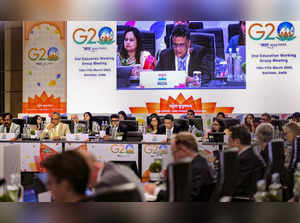 Amritsar: G20 Sherpa of India Amitabh Kant and other delegates during the G20 2n...