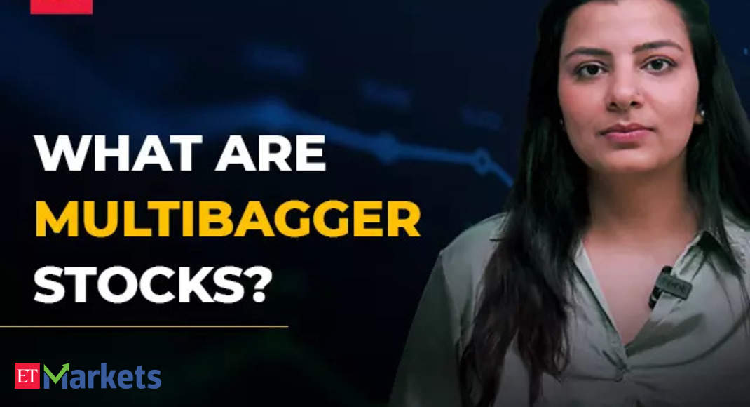 What are multibagger shares?