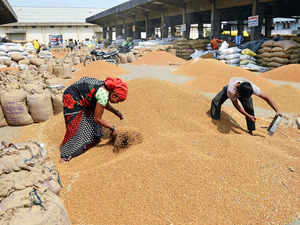 India plans to relax wheat procurement norms to replenish stocks