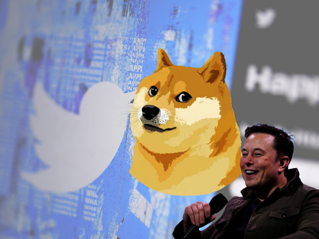 doge twitter logo