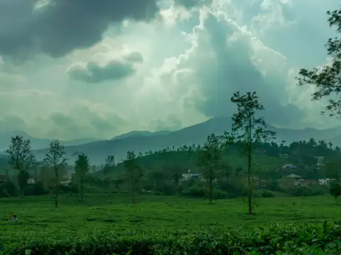 Wayanad