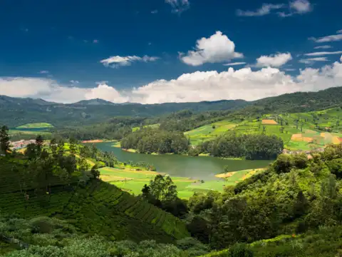 Ooty