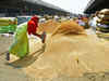 Wheat quality norms likely to be eased