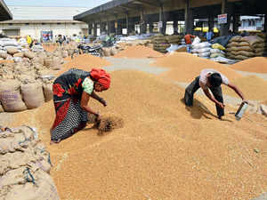 Wheat output may be below govt estimate of 112 mt: Agriwatch