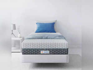 Sleepwell Single Bed Mattress