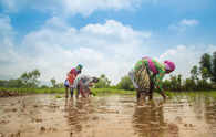 Gender equality in farming could add $1 trillion to world economy