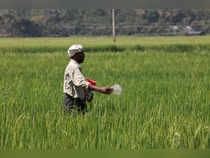 Gujarat State Fertilizers and Chemicals