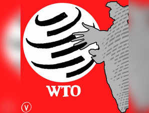 India Wants WTO Mechanism to Ensure Development Issues are Not Ignored.