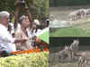 Watch: Bhupender Yadav releases Cubs in arena of white tiger enclosure at Delhi Zoological Park