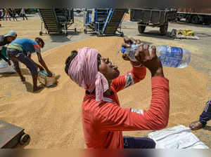 Premature to attribute extreme heat in India to climate change but heatwaves more intense: WMO
